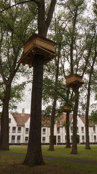 bruges9.jpg