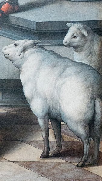 gallery15.jpg