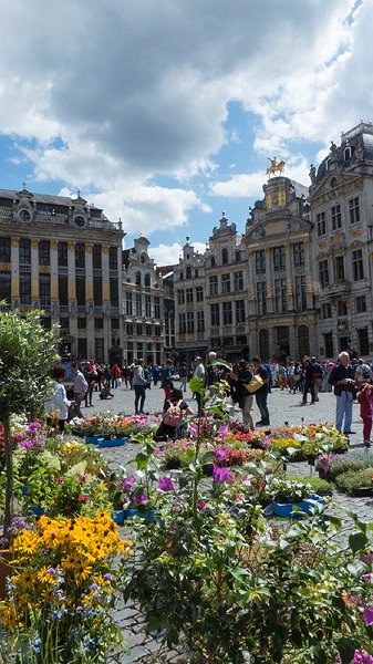 brussels25.jpg