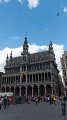 brussels24