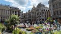 brussels26