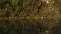 bridge8