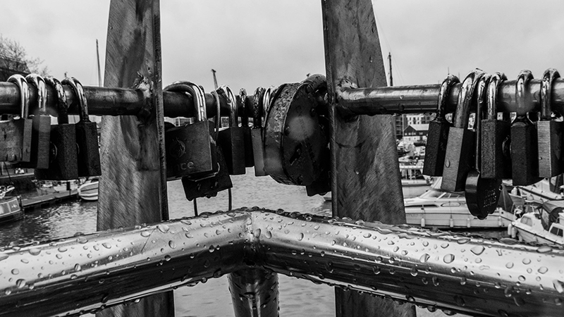 P1170784-1s.jpg