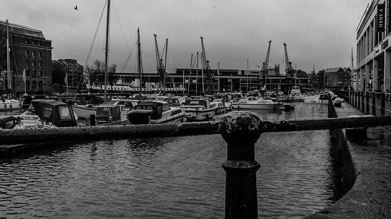 P1170787-1s.jpg