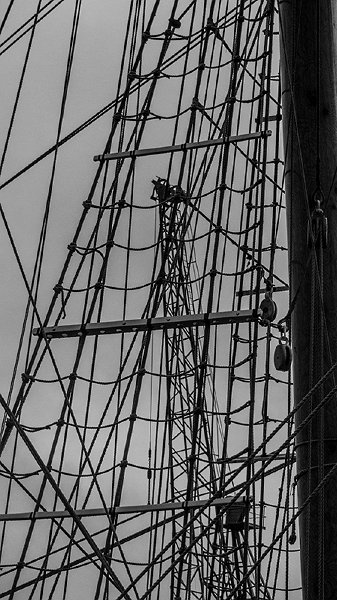 P1170894-1s.jpg
