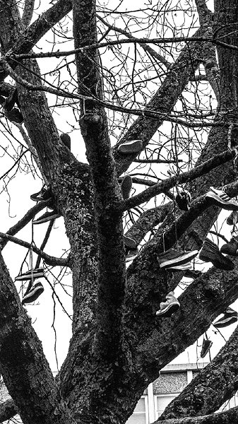 P1170949-1s.jpg
