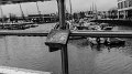 P1170783-1s