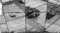 P1170801-1s