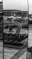 P1170819-1s