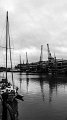 P1170875-1s
