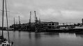 P1170878-1s