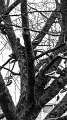 P1170949-1s