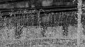 P1170960-1s