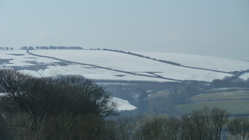 Snow.JPG