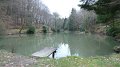 Bulworthy