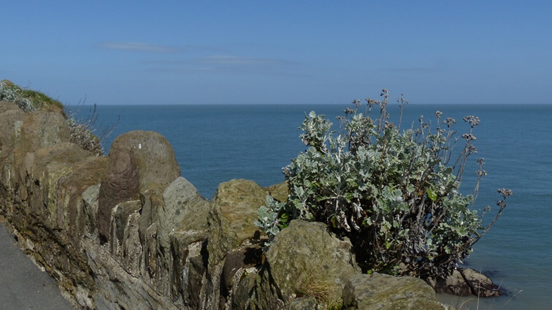 Ilfracombe13.JPG
