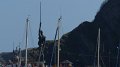 Verity3