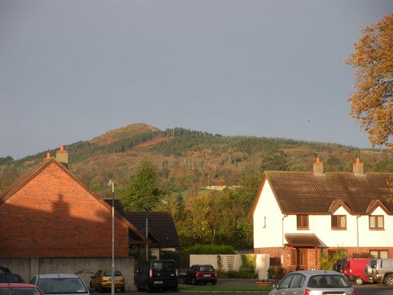 19.JPG