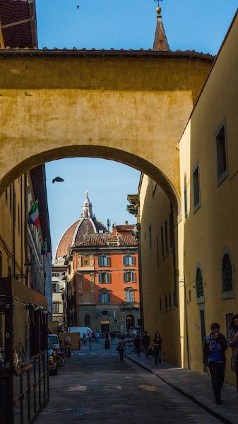P1180423-64.jpeg