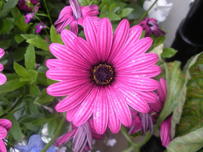 DSCN2624.JPG