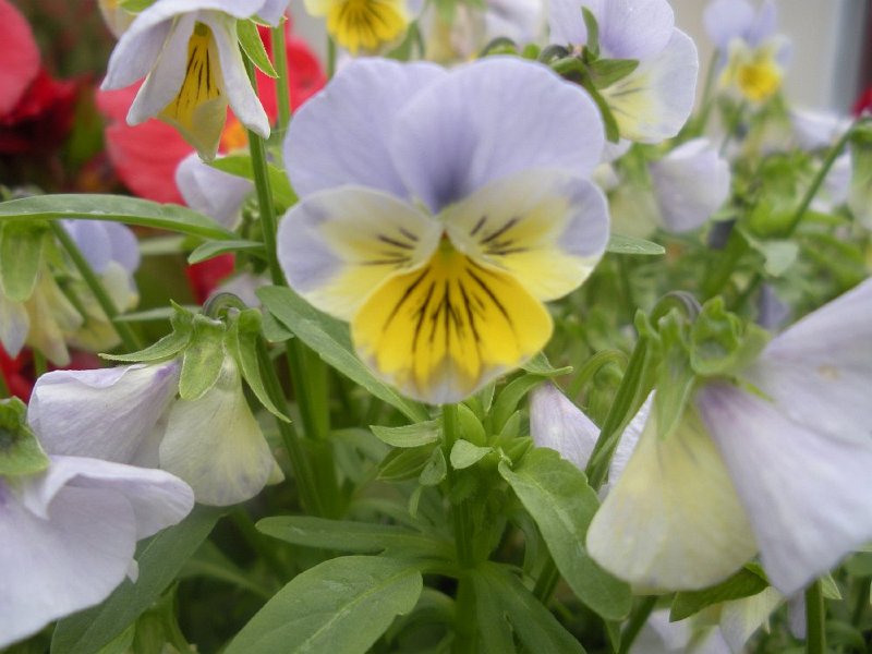 DSCN2632.JPG