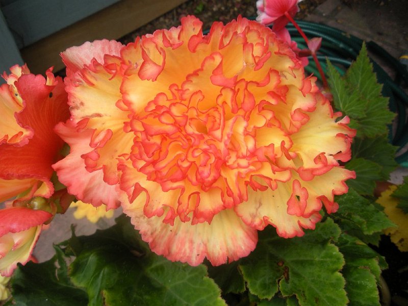 DSCN2641.JPG