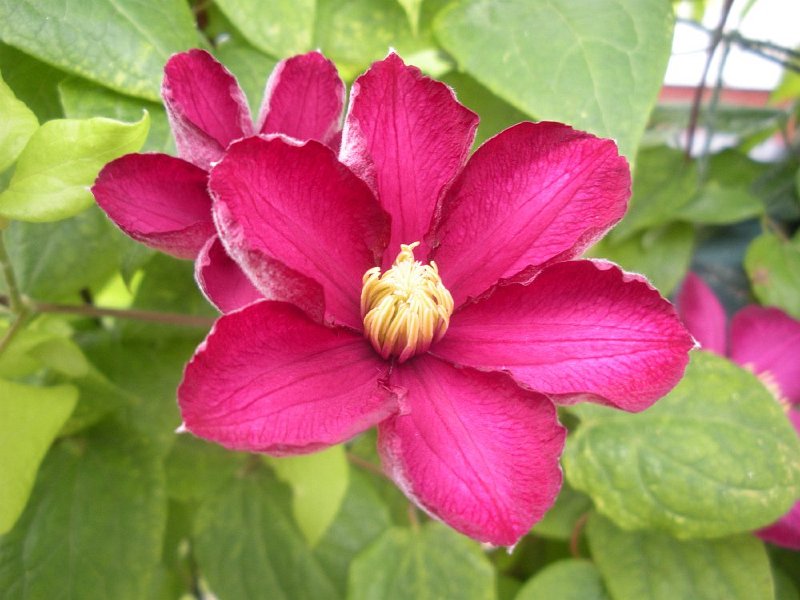 DSCN2655.JPG