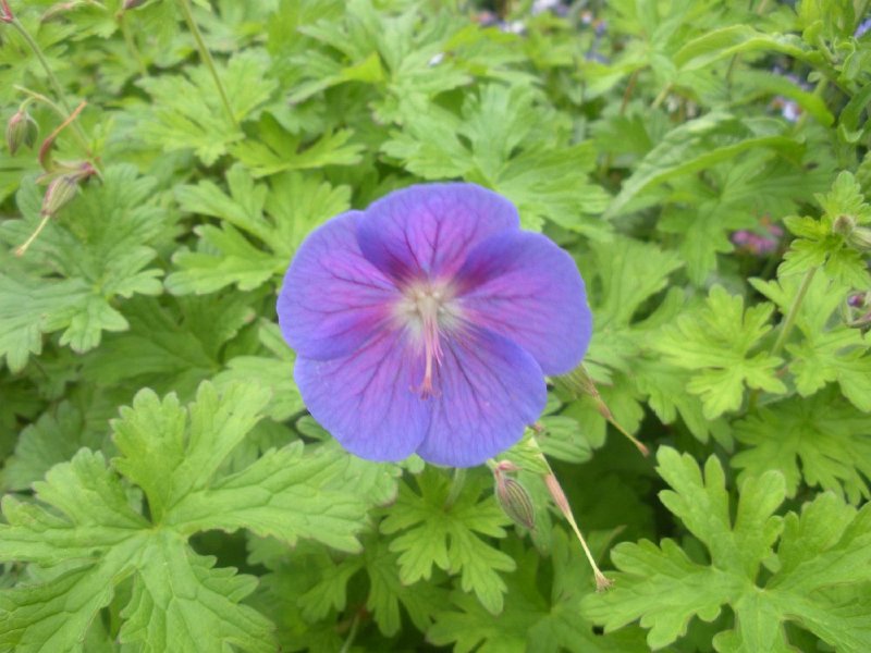 DSCN2669.JPG