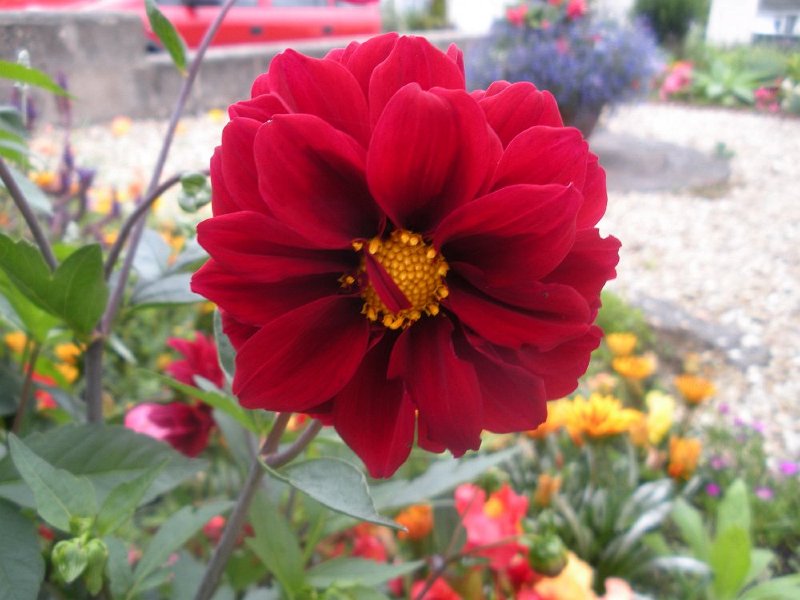 DSCN2691.JPG