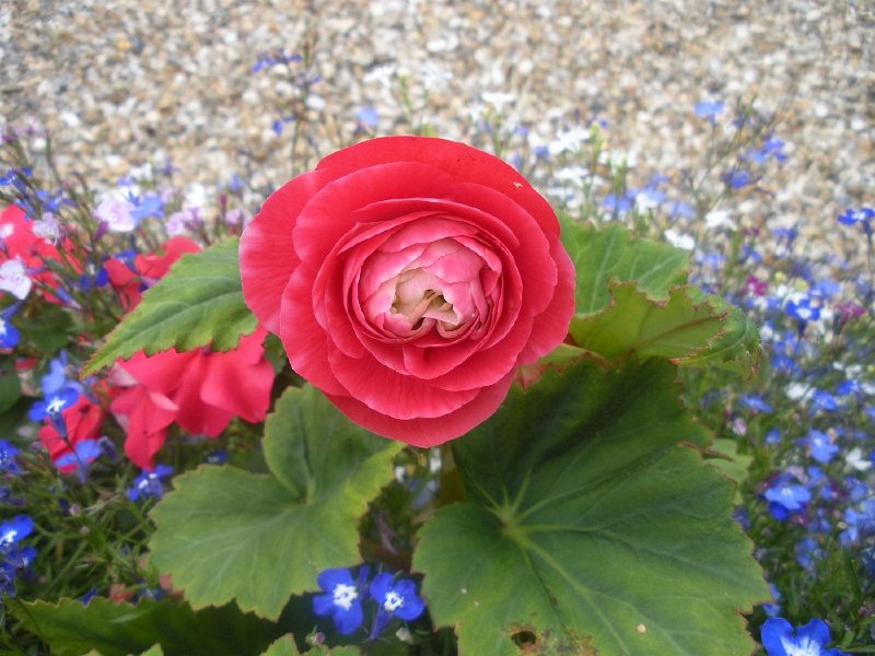 DSCN2692.JPG