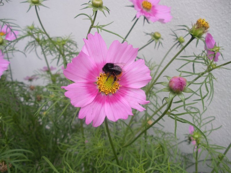 DSCN2707.JPG