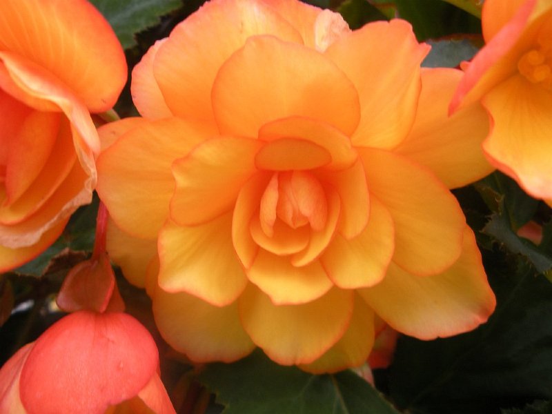 DSCN2734.JPG