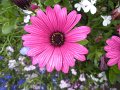 DSCN2623