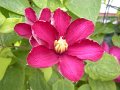 DSCN2655