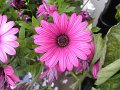 DSCN2711