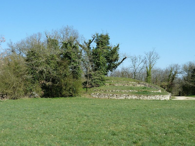 P1000791.JPG