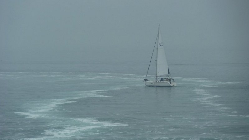 P1000940.JPG