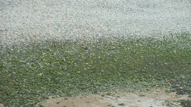 P1000975.JPG
