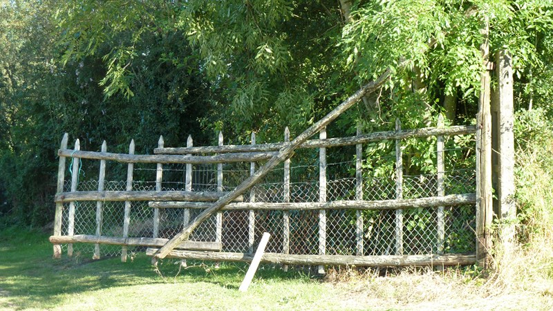 gate.jpeg