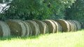 bales