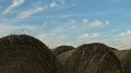 bales1