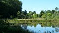 pond