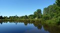 pond1