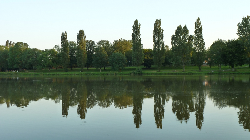 lac1.jpeg