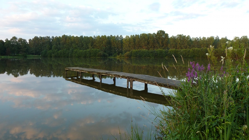 lac7.jpeg