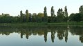 lac1