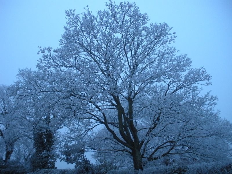 DSCN3305.JPG