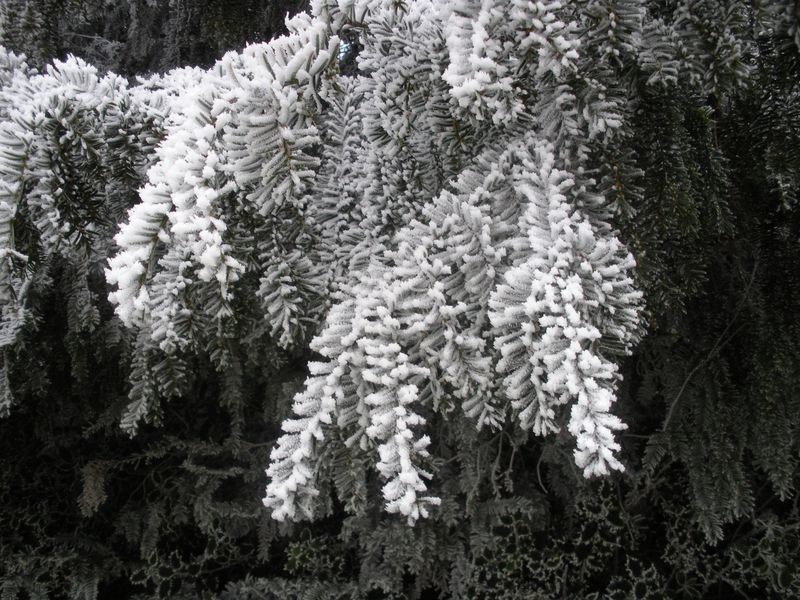 DSCN3311.JPG