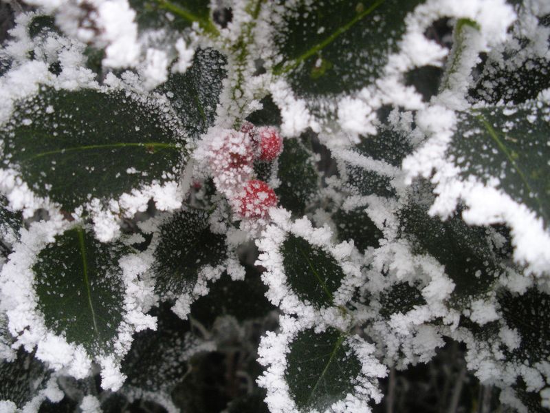 DSCN3315.JPG