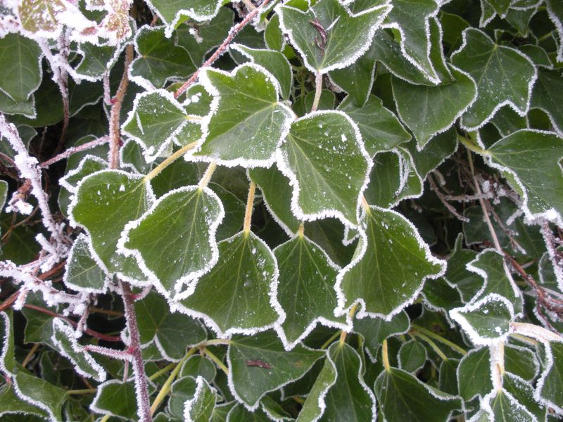 DSCN3318.JPG